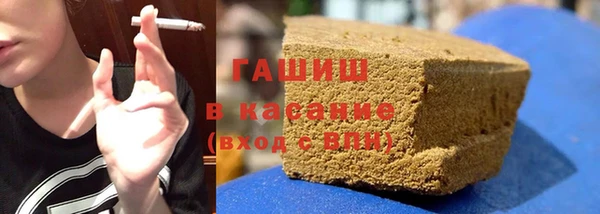индика Алзамай