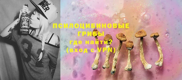 индика Алзамай